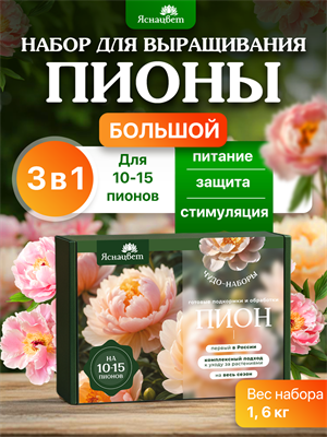 НАБОР ДЛЯ ПИОНОВ большой 2